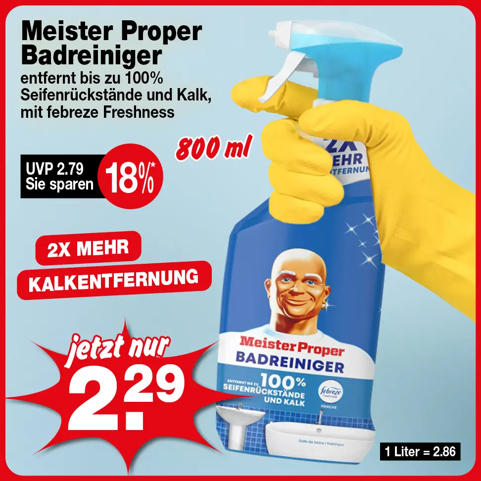 Meister Proper Badreiniger